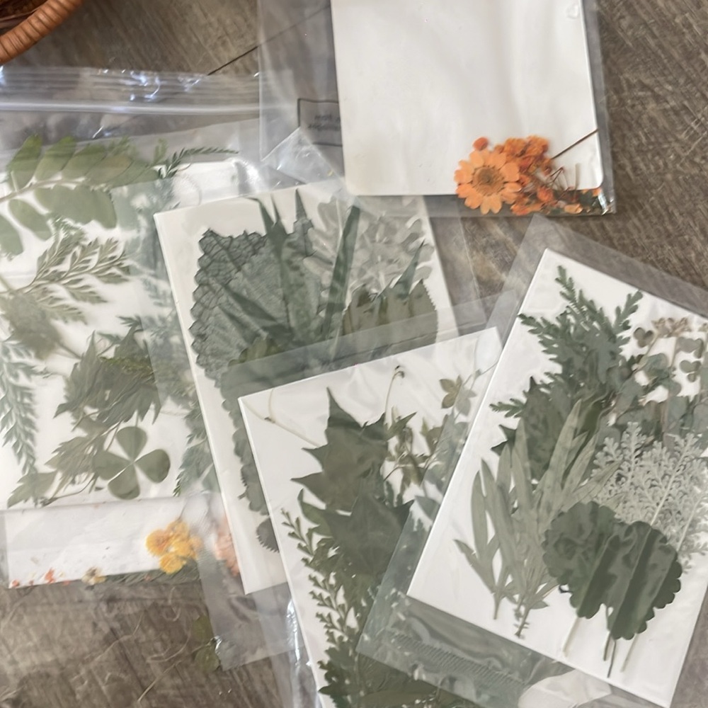 •| dried flower craft bundle - Picture 5 of 9